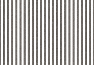 TOP STRIPES – Riga 1 38439