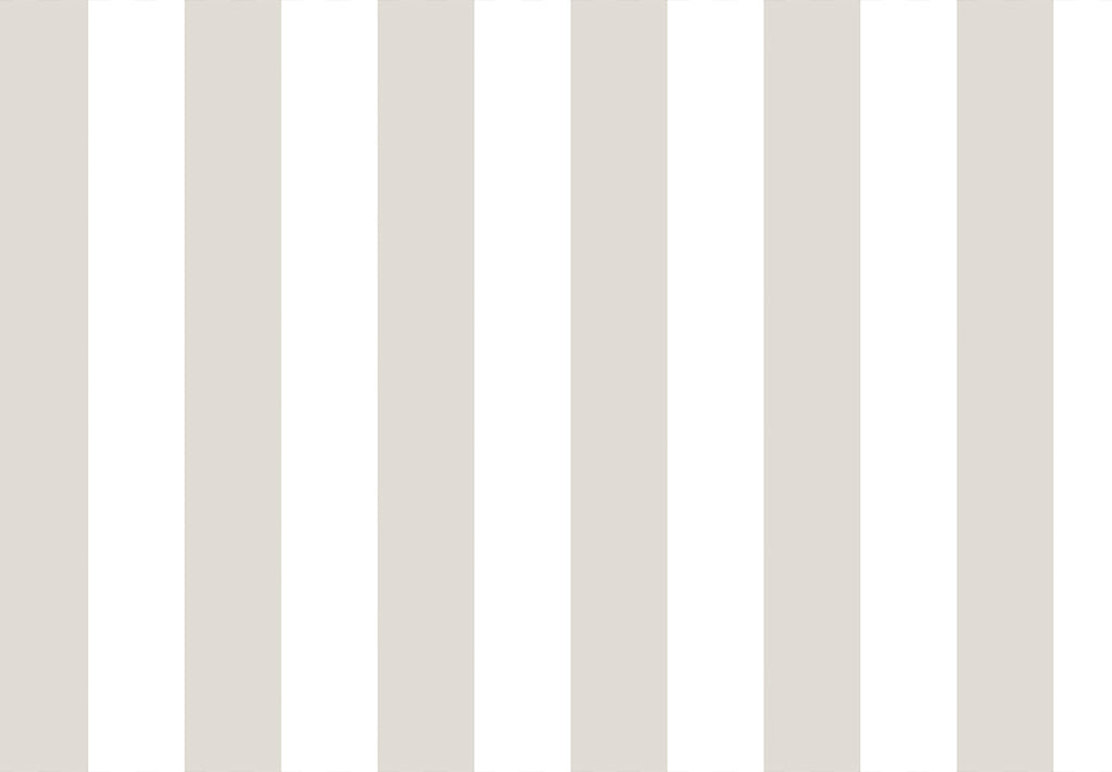 TOP STRIPES – Riga 2 38441