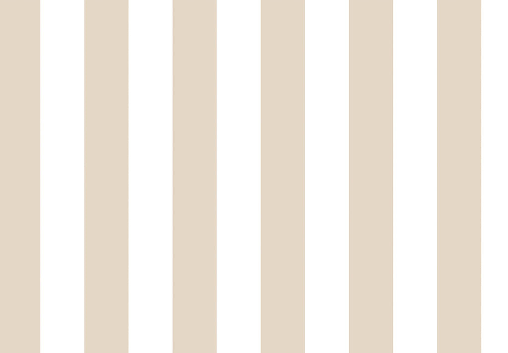 TOP STRIPES – Riga 2 38442