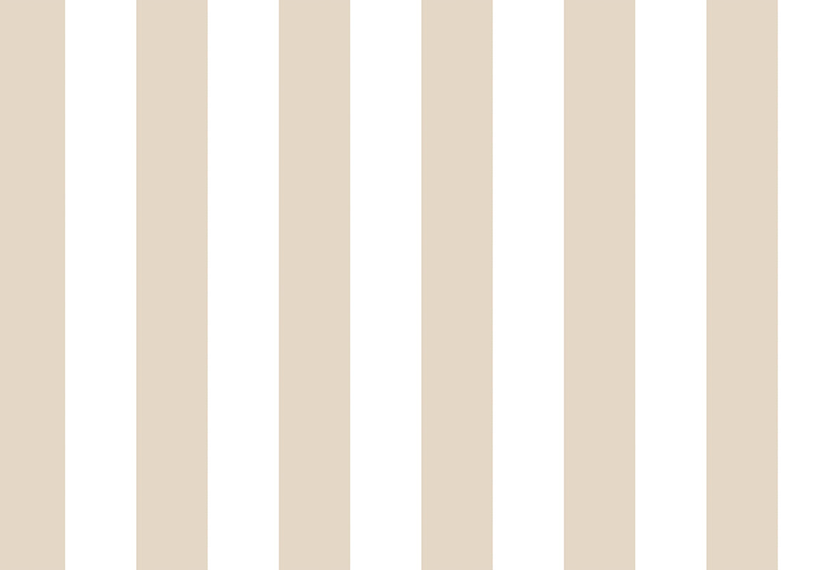 TOP STRIPES – Riga 2 38442