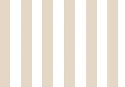 TOP STRIPES – Riga 2 38442