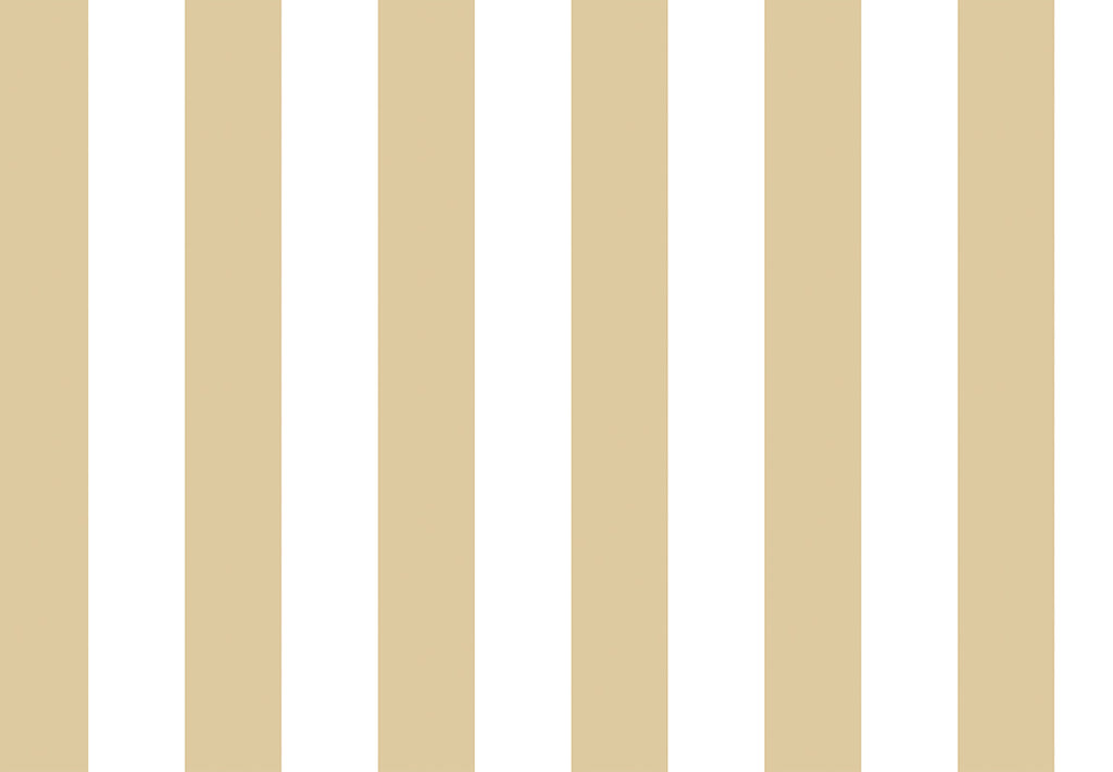 TOP STRIPES – Riga 2 38443