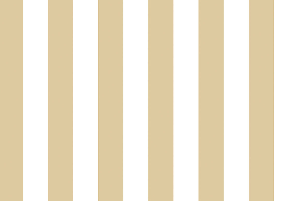 TOP STRIPES – Riga 2 38443