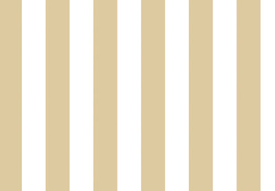 TOP STRIPES – Riga 2 38443