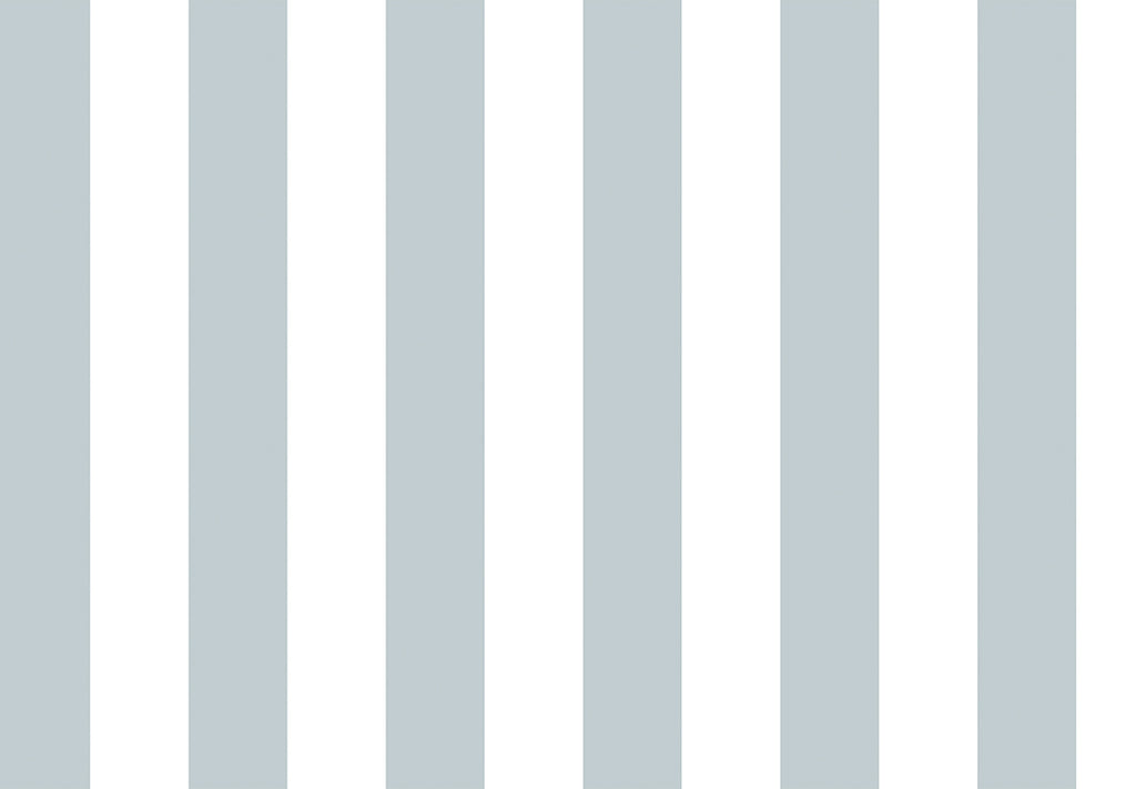 TOP STRIPES – Riga 2 38446