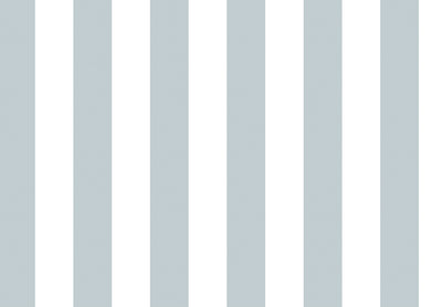 TOP STRIPES – Riga 2 38446