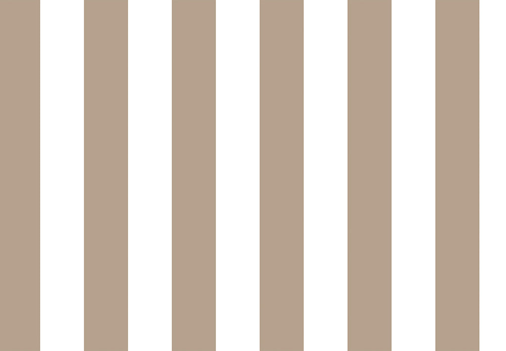TOP STRIPES – Riga 2 38448
