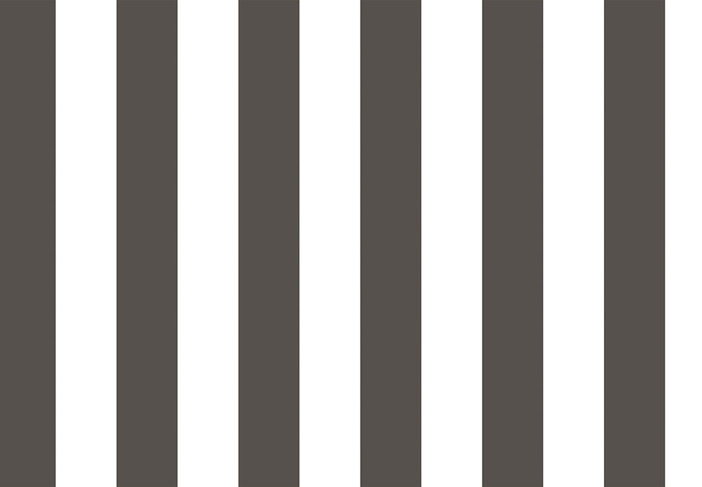 TOP STRIPES – Riga 2 38449