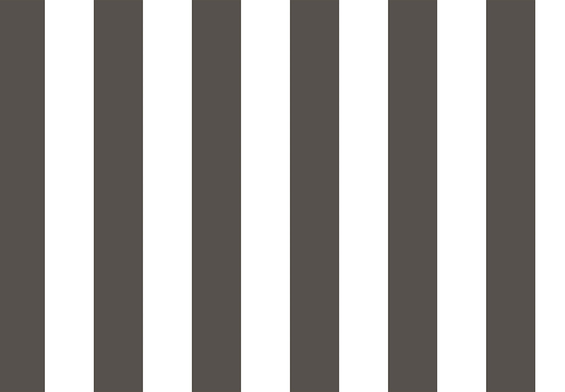 TOP STRIPES – Riga 2 38449