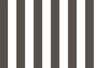 TOP STRIPES – Riga 2 38449