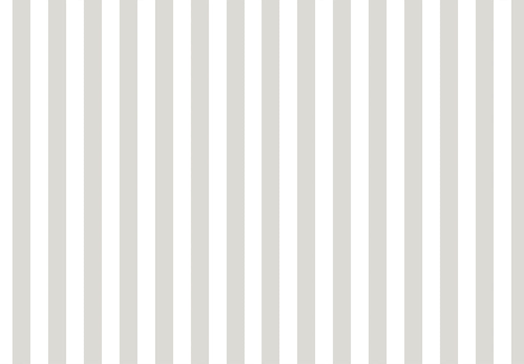 TOP STRIPES – Riga 7 38451