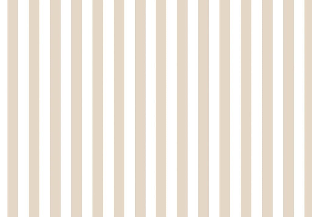 TOP STRIPES – Riga 7 38452