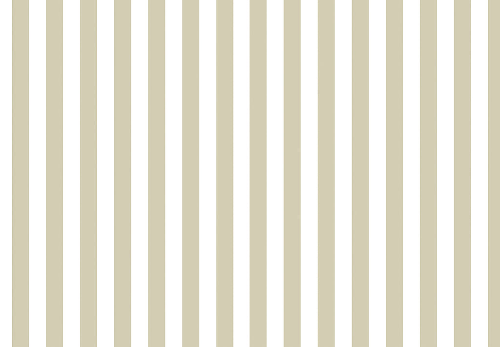 TOP STRIPES – Riga 7 38453