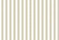 TOP STRIPES – Riga 7 38453