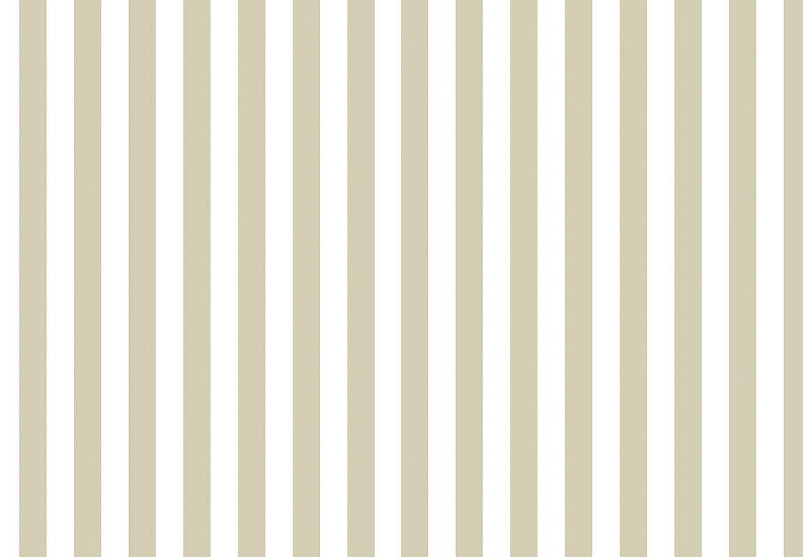 TOP STRIPES – Riga 7 38453