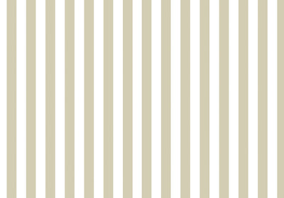 TOP STRIPES – Riga 7 38453