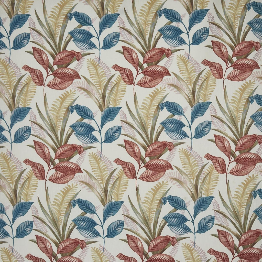 Sumba Coral