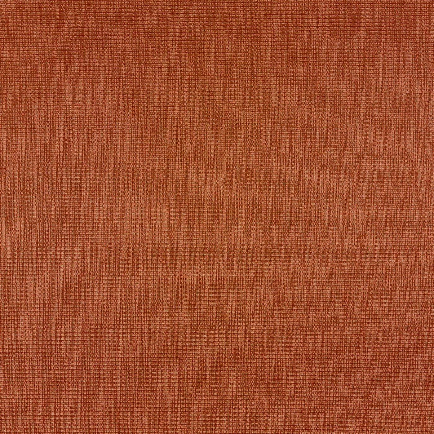 Talu Mango