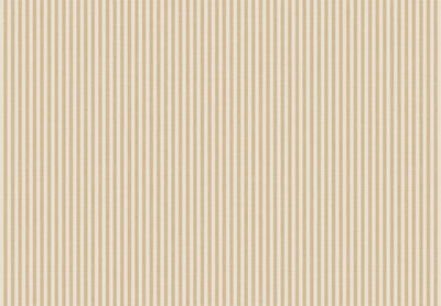 TOP STRIPES – Riga 5 38483