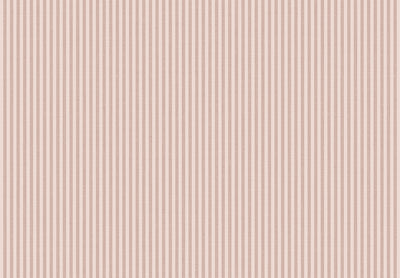 TOP STRIPES – Riga 5 38484