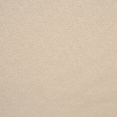 Facade Putty
