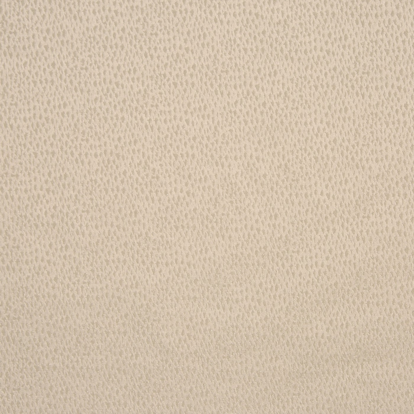 Facade Putty
