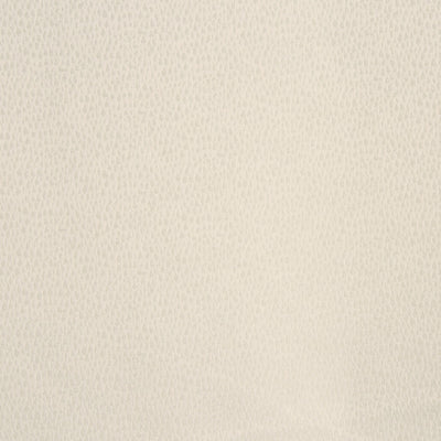 Facade White Wash