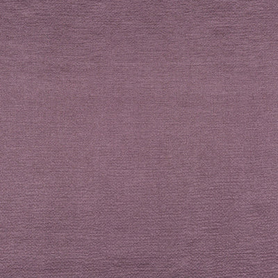 Secret Amethyst