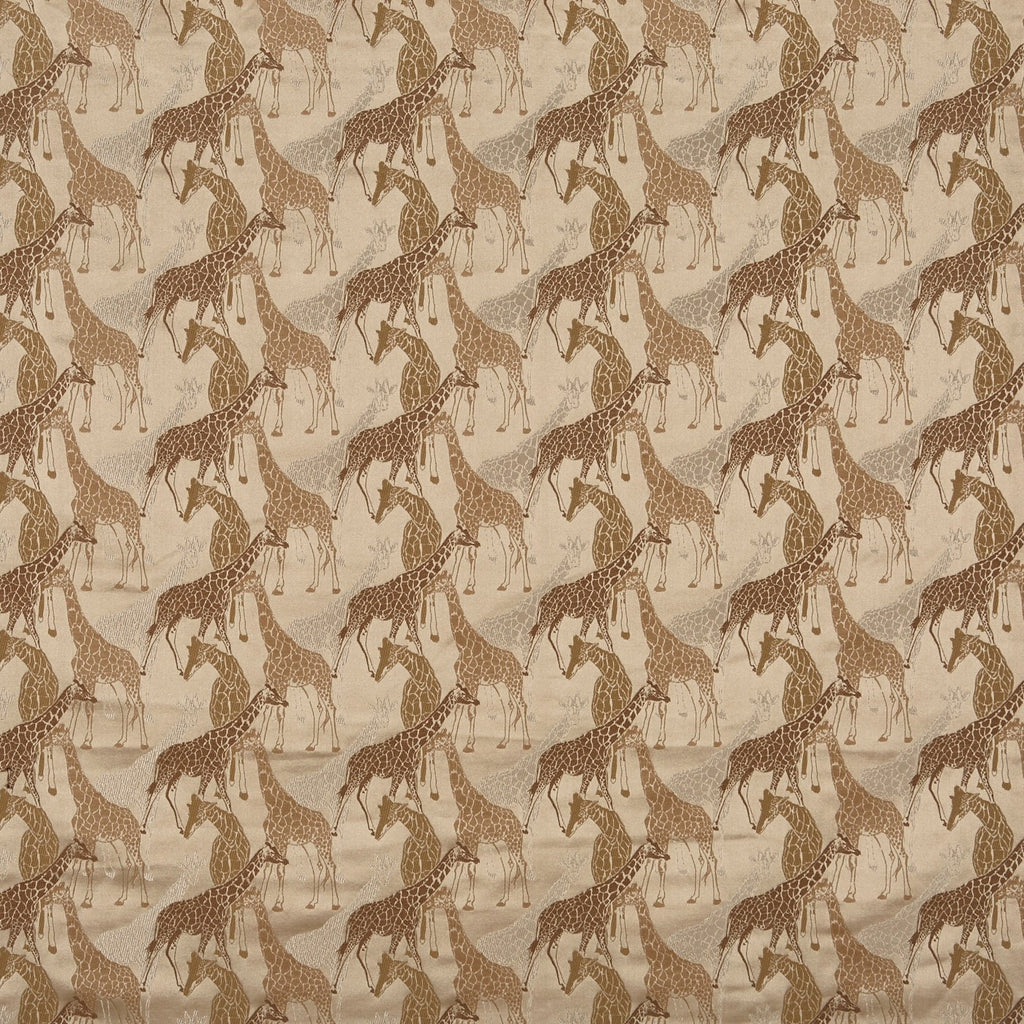 Giraffe Sahara
