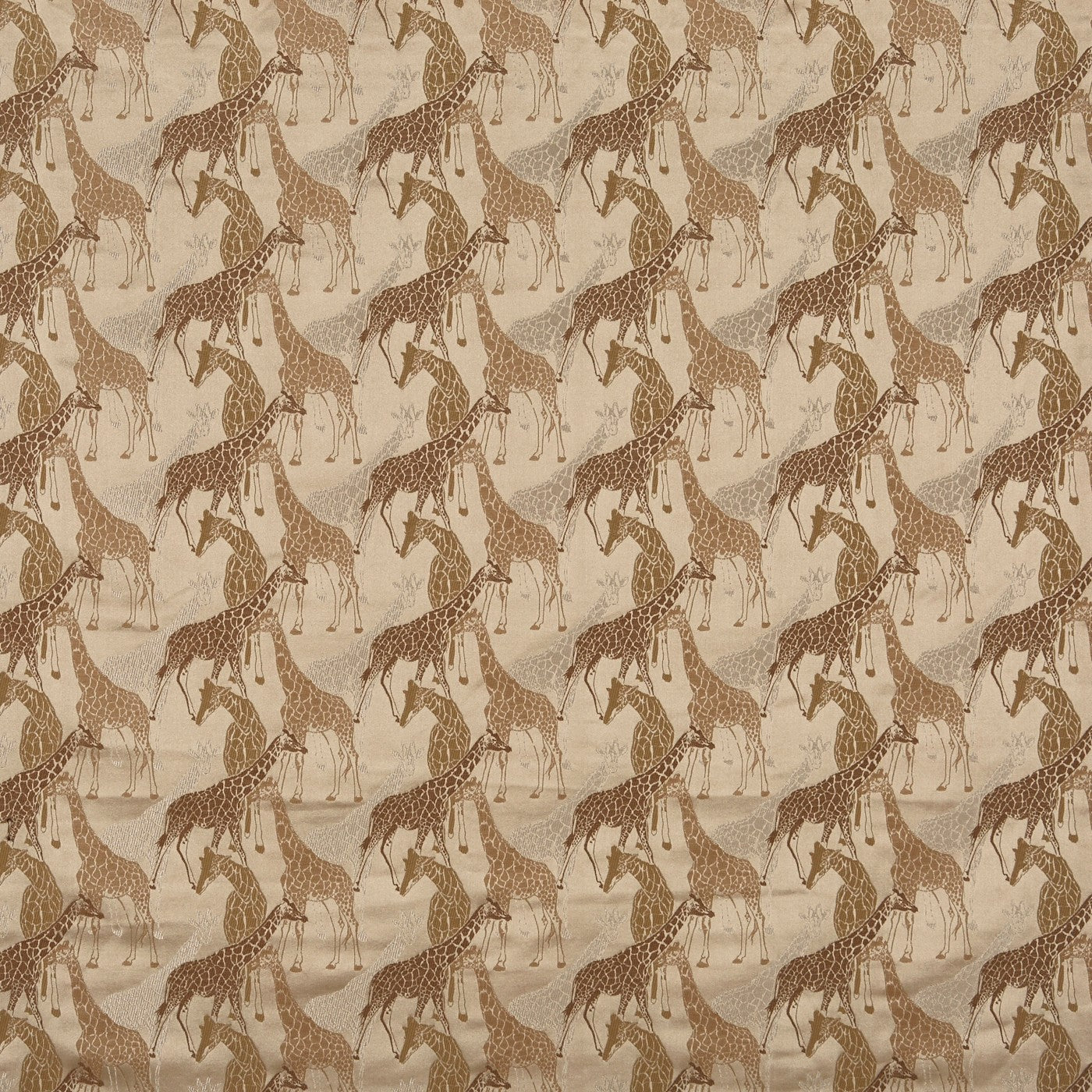 Giraffe Sahara