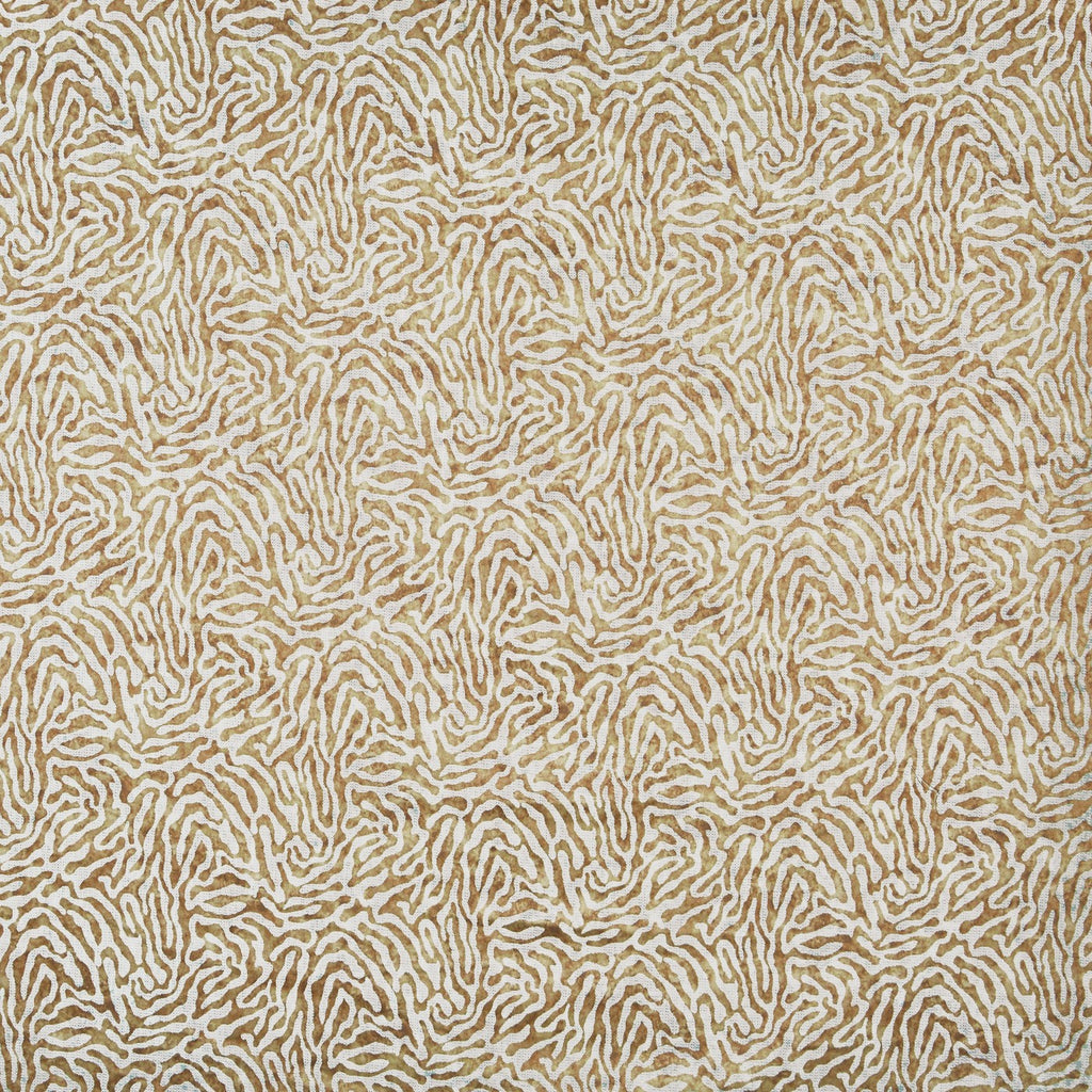 Serengeti Sahara
