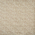 Serengeti Sahara