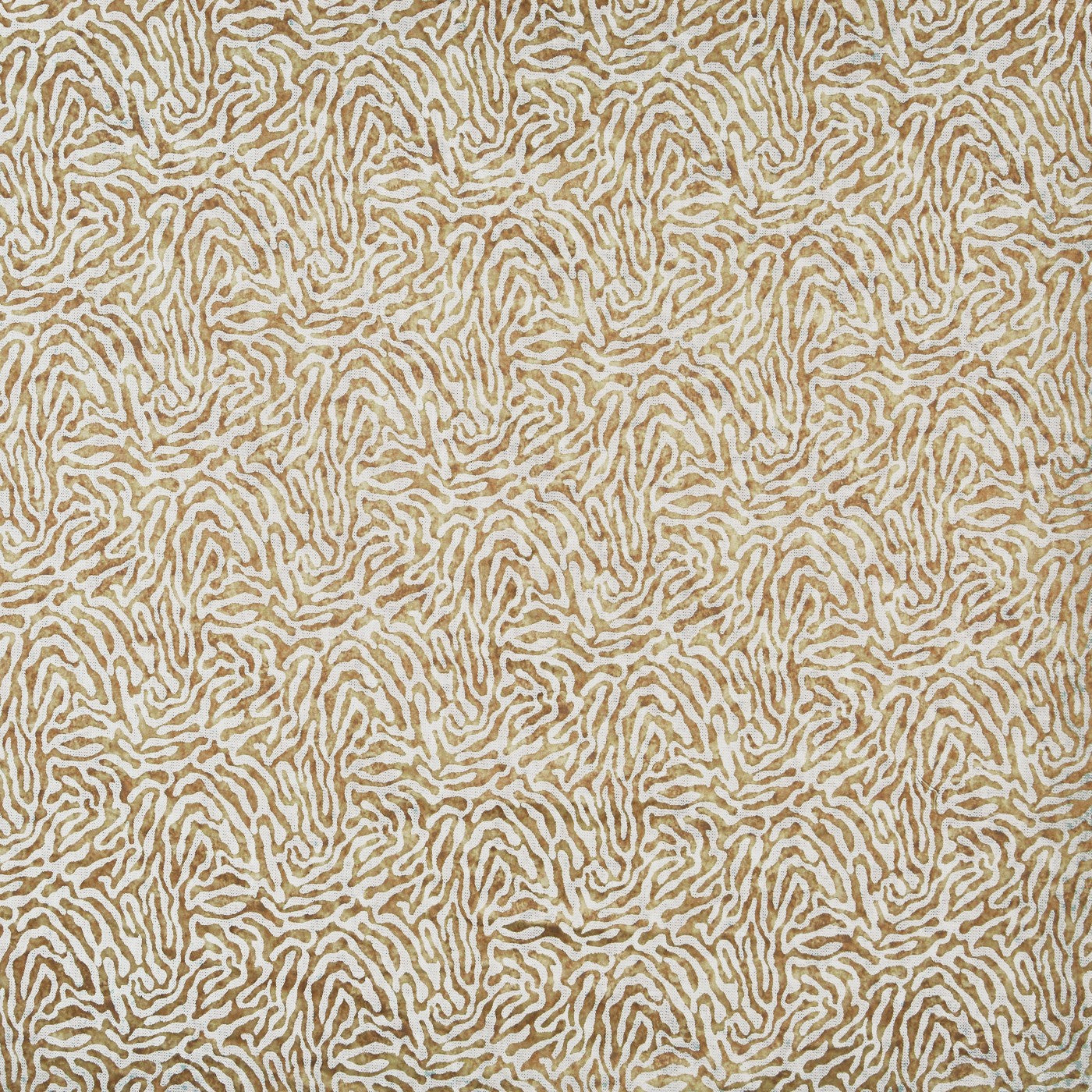 Serengeti Sahara
