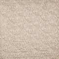 Serengeti Sandstorm