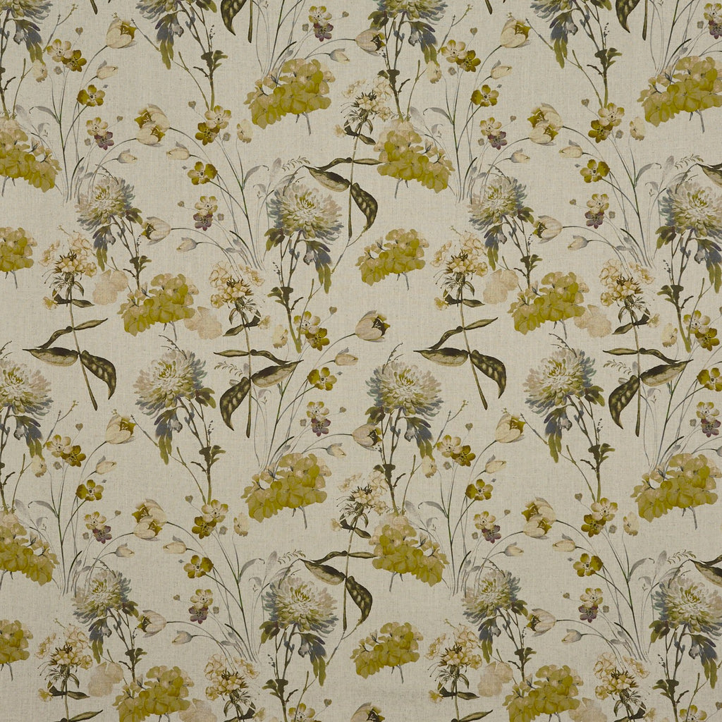 Chiswick Ochre (pts100)