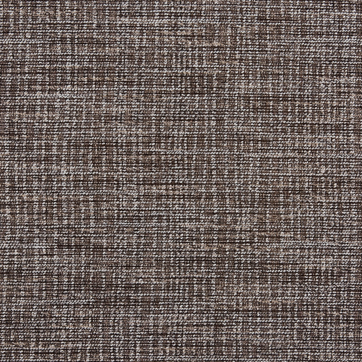 Dolores Charcoal