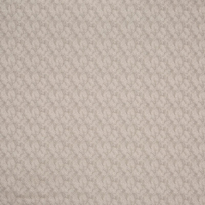 Verity Ivory