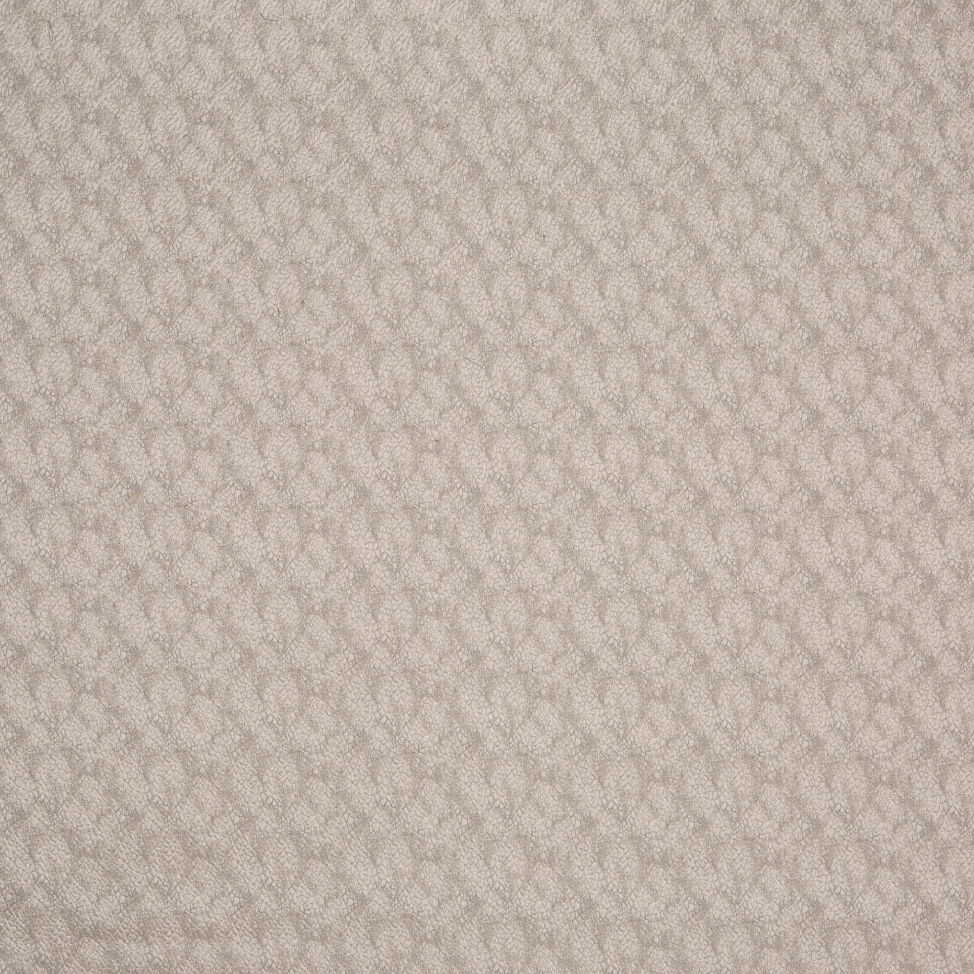 Verity Ivory