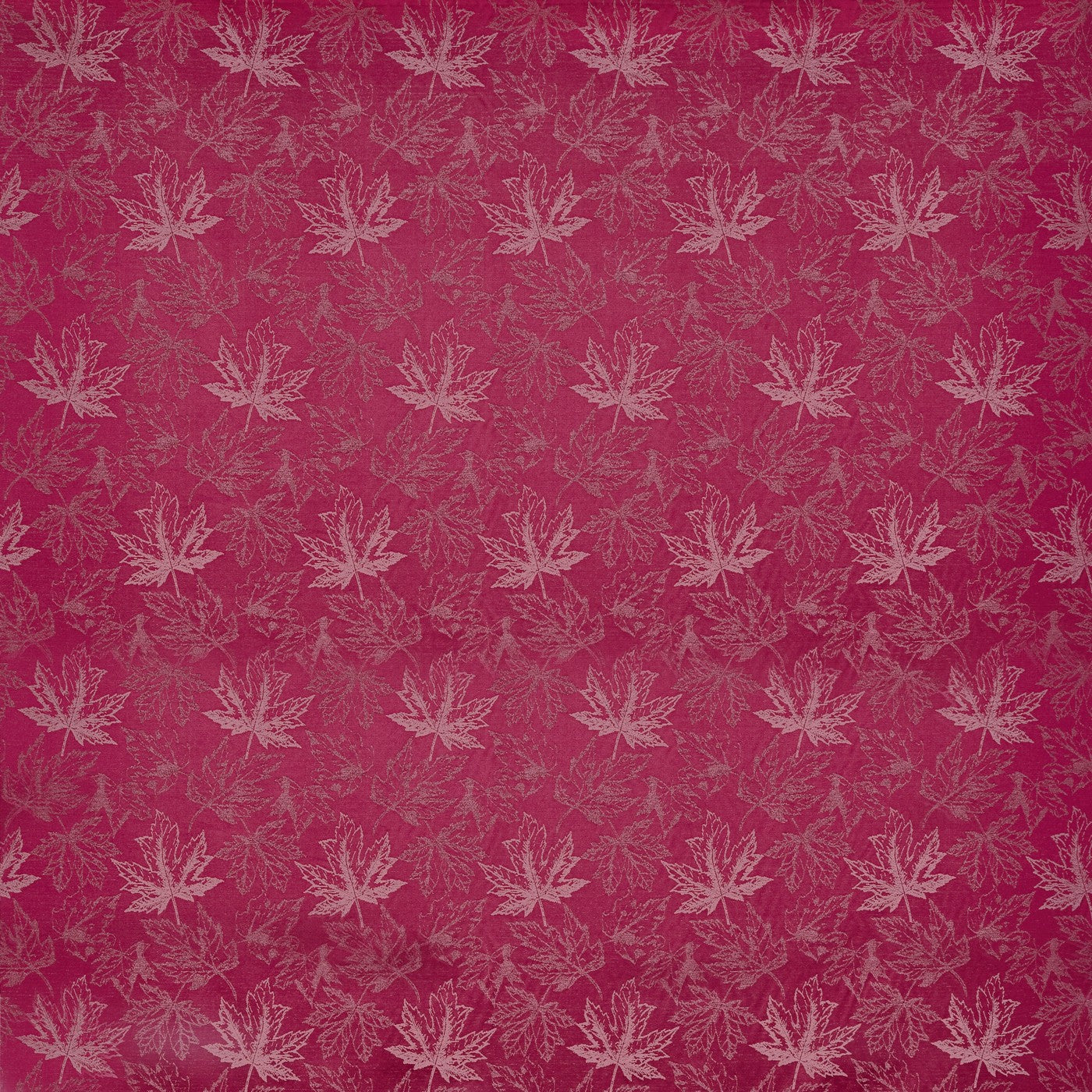 Juniper Fuchsia