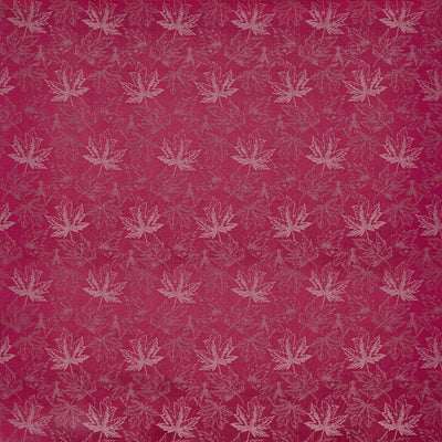 Juniper Fuchsia