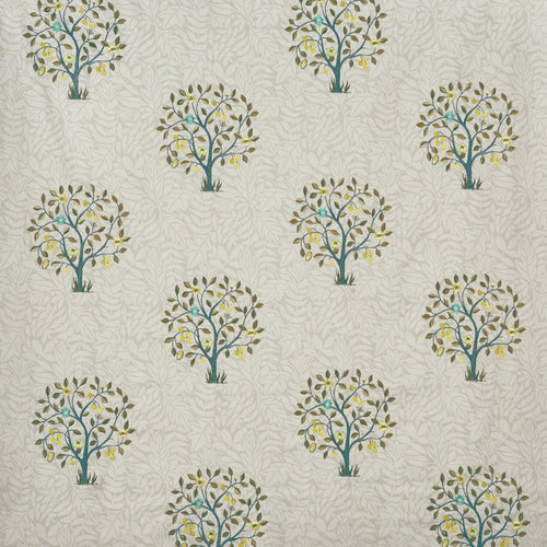Aesop Willow