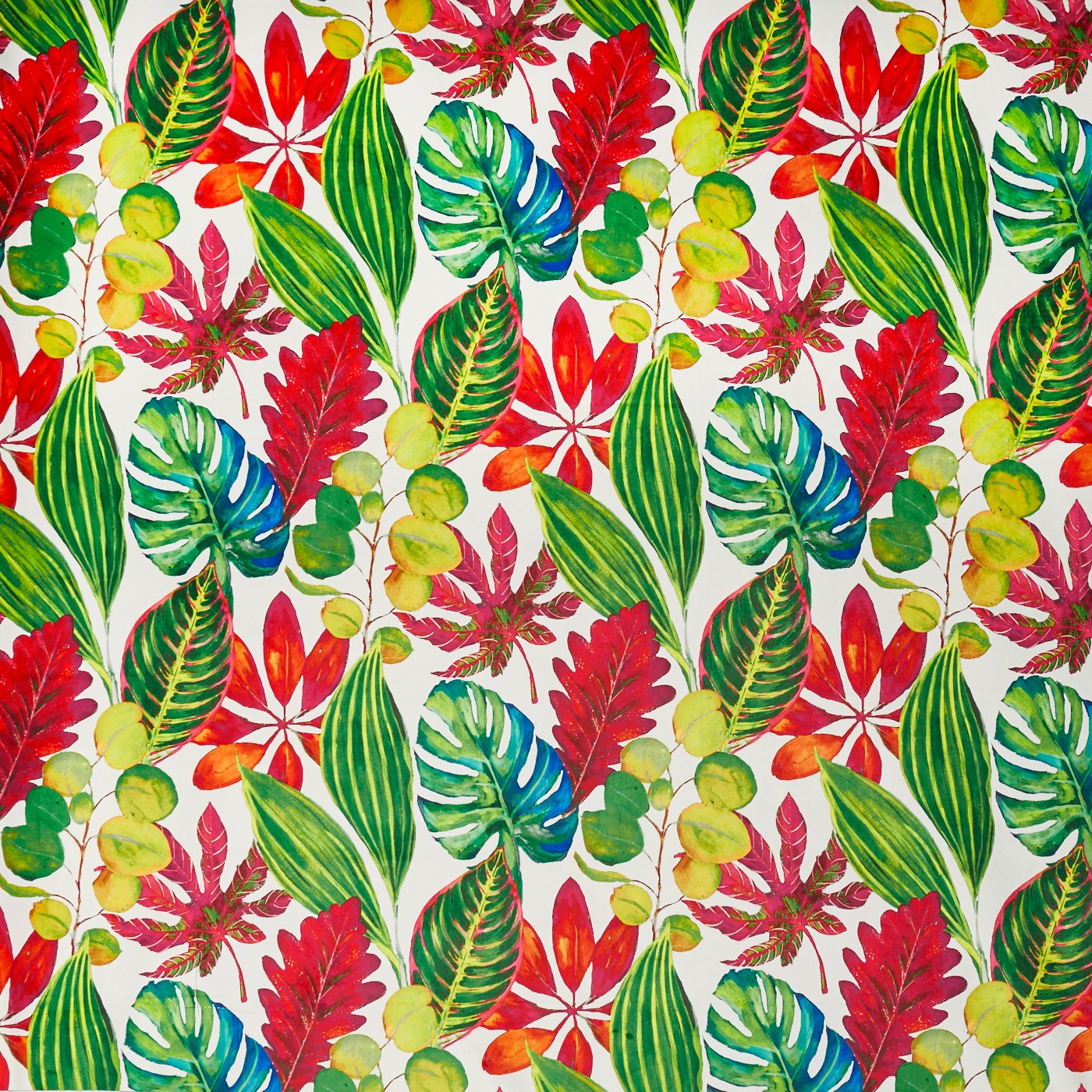 Bahamas Tropical (pts104)