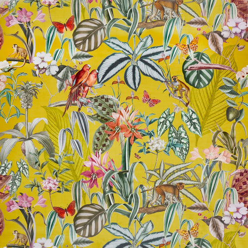 Barbados Citron (pts104)