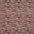 Honshu Plum