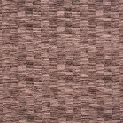 Honshu Plum
