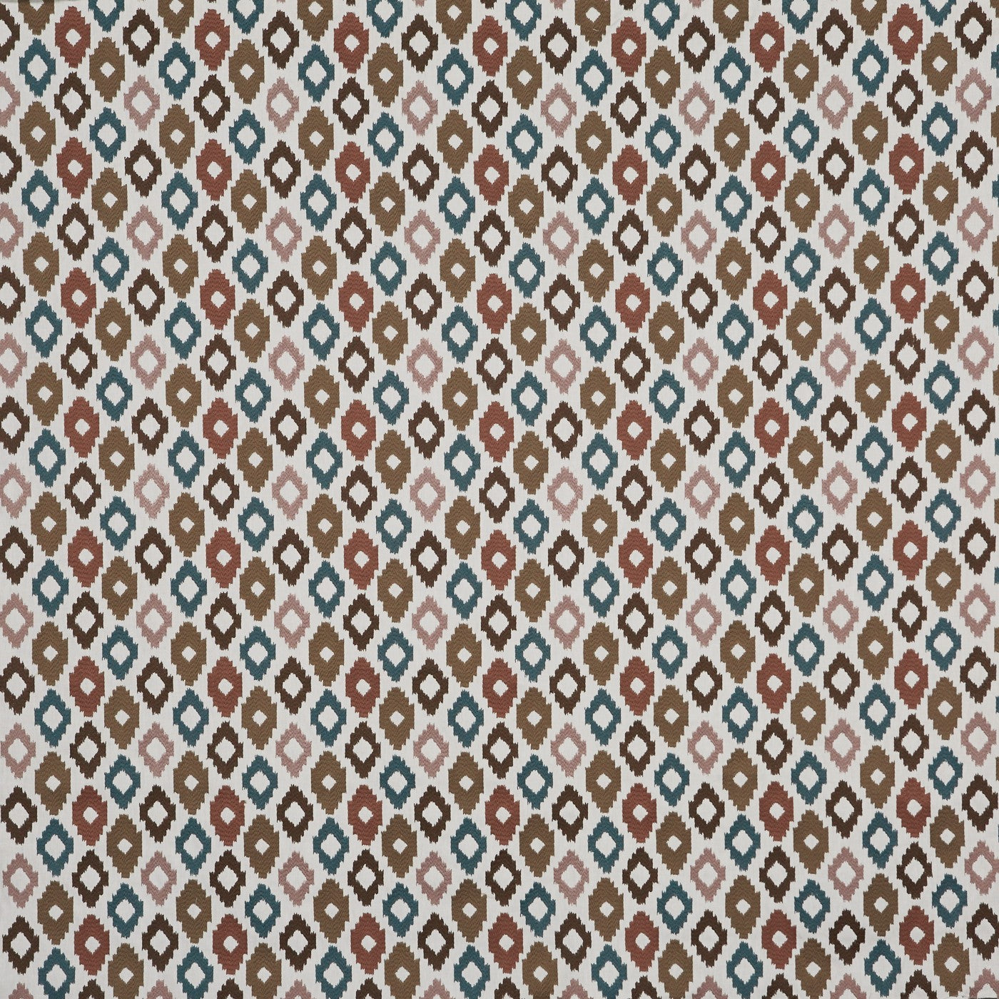 Cassia Nutmeg