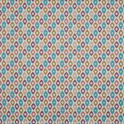 Cassia Fig