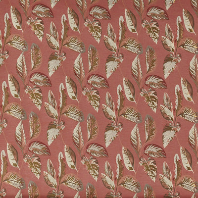 Alano Terracotta