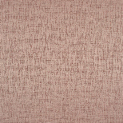 Elwood Rhubarb