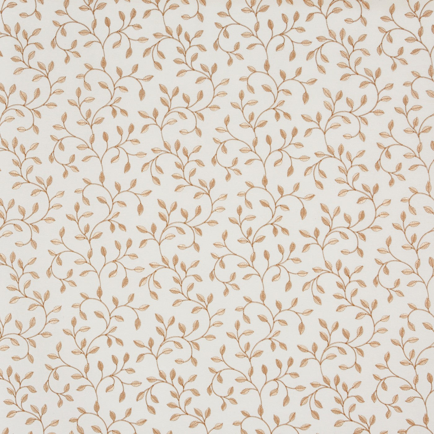 Poplar Copper
